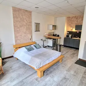Hyper Centre Appart hôtel Roanne